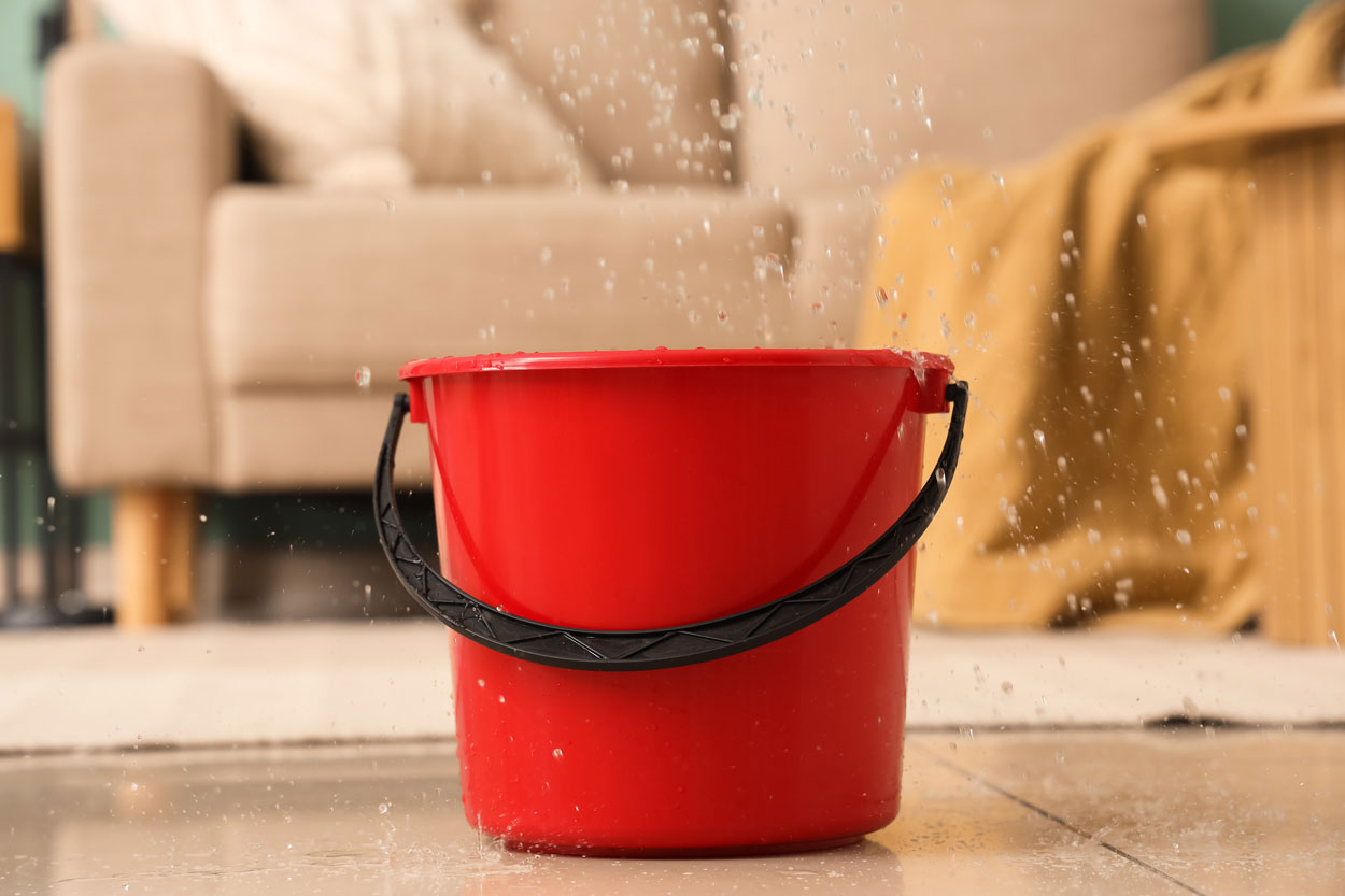 Rode emmer vangt druppelend lekwater op in een woonkamer